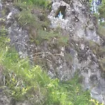 U šimona Penzion