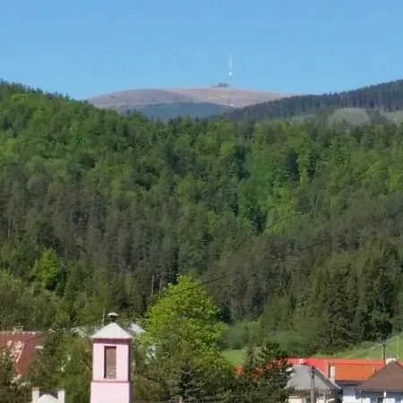 U šimona Penzion *