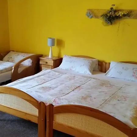 U šimona Penzion *
