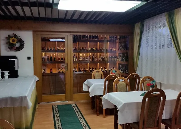 Pensionat U Simona 3*