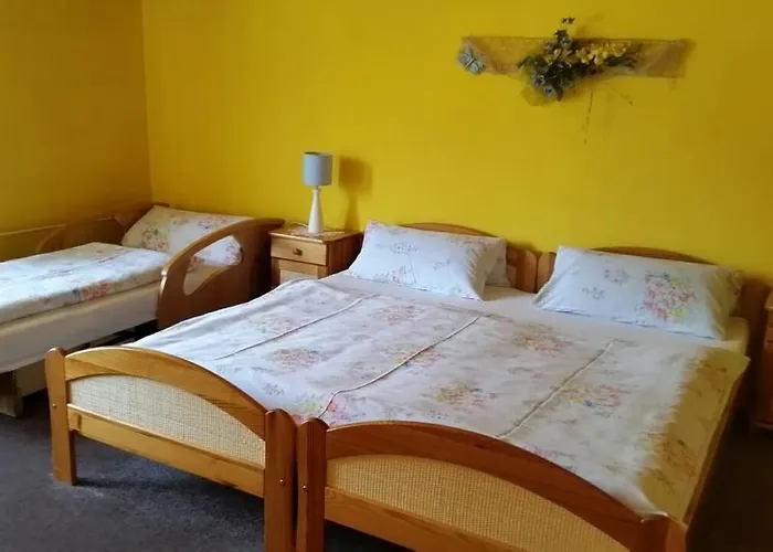 U Simona Pensionat 3*