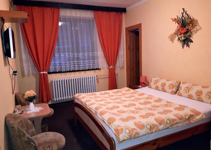Pensionat U Simona 3*